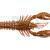 Mustad Mezashi Rock Lobster