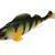 Mikado MFT Perch 10cm
