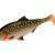 Mikado MFT Roach 12cm
