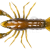 LiveTarget Crawfish