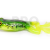 LiveTarget Freestyle Frog 2.0