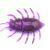 FishUp Maybug
