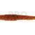 Westin Ned Worm Slim