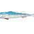 Qubi Lures Sardine Shad