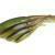 FOX Rage Scent Shad