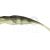 Qubi Lures Syrena Vert 25cm