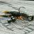 Savage Gear NED Craw