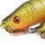 FOX Rage Pro Grub Loaded