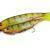 FOX Rage Pro Shads Loaded
