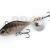 DUO Realis Spin