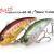 DUO Realis Vibration Apex Tune