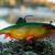 FOX Rage Soft baits Replicant Wobble
