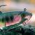 FOX Rage Soft baits Replicant Wobble