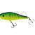 Molix Shaman Popper