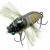 Tiemco Lures Soft Shell Tiny Cicada