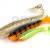 FOX Rage Soft Baits Spikey Shads Bulk