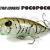 DUO Tetra Works PocoPoco F