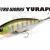 DUO Lures Tetra Works Yurapen