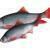 FOX Rage Ultra Natural Fillets