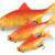FOX Rage Ultra Realistic Replicant Golden Roach
