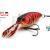 Molix Lures Sculpo DR Rattlin