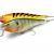 Rapala Super Shad Rap lures