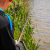 Preston Dura Carp 800 8m Pole
