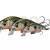 Savage Gear 3D Sticklebait Twitch