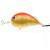 Dorado Alaska Acustic