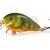 Salmo Hard lures Butcher