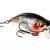 Westin Hard Lures BuzzBite SR Crankbait