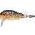 Rapala CountDown 2.5cm and 3cm lures