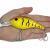 Black Cat Cranker Lures