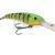 Rapala Deep Thunder
