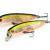 Pontoon21 Hard Lures Dexter Minnow