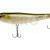Megabass Dog-X Jr. Coayu