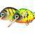 HMG Lures Hard Lures Droop Killer Float