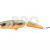 Dorado Esox Jointed