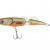 Dorado Esox Jointed