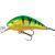 Mikado Fishunter Cavalier