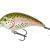 Mikado Fishunter Crazy Dots