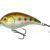 Mikado Fishunter Crazy Dots