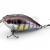 Flagman Hard Lures Flex 55F