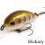 Zipbaits Hickory SR Lures