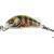 Salmo Hornet 2,5 cm