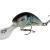 Salmo Hornet 6 cm