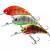 Salmo Hornet Rattlin lures