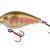 SPRO Hard Lures IKIRU Crank 45F