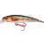 SPRO Hard Lures IKIRU Micro Jerk 50F