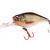 SPRO Hard Lures IKIRU Mini Crank 38F LL